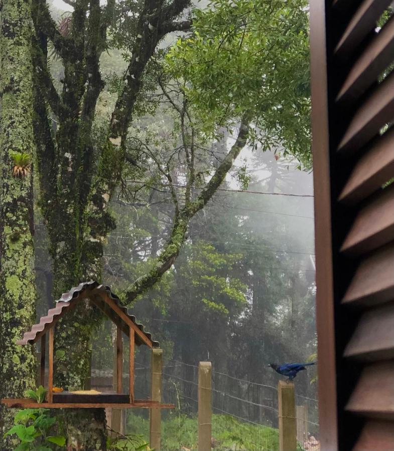 Recanto Das Gralhas São Francisco de Paula Exteriör bild